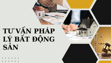 Dịch Vụ Tư Vấn Pháp Lý